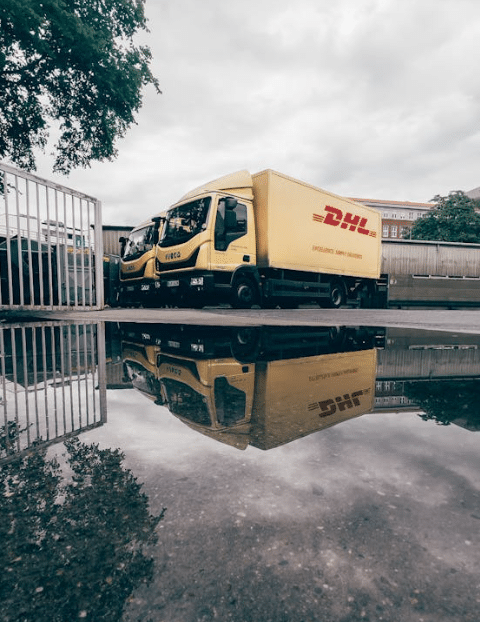 Transporte experto de cítricos frescos